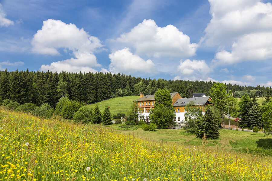 Landhaus Bergidyll Bärenstein Buitenkant foto