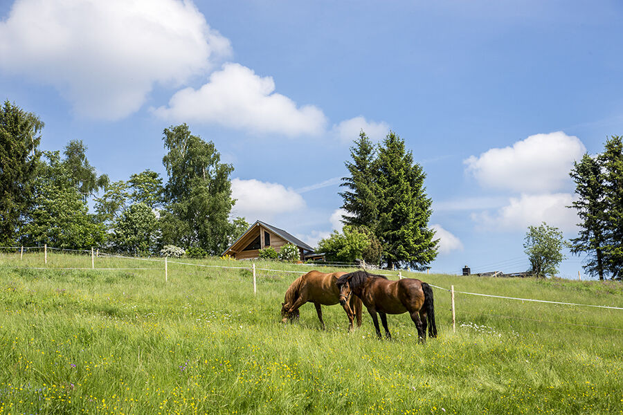 Landhaus Bergidyll Bärenstein Buitenkant foto