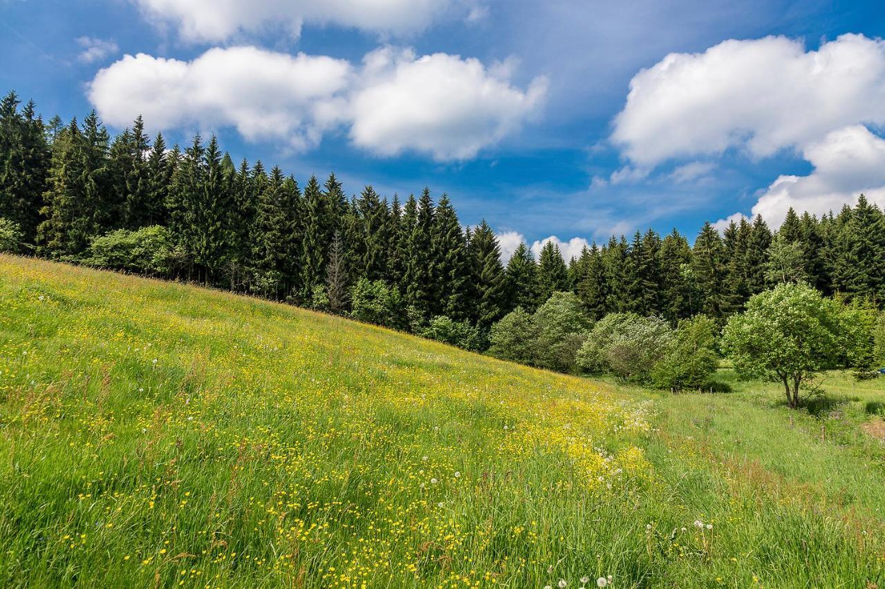Landhaus Bergidyll Bärenstein Buitenkant foto